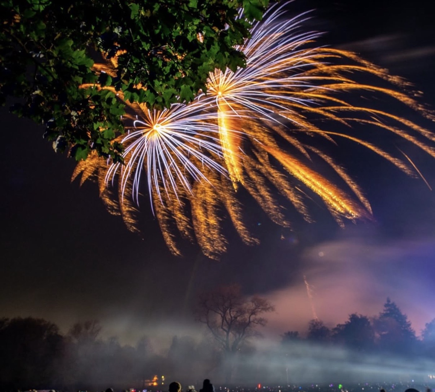 Golden fireworks bursting over Abbey Park through the trees, mist drifting across the crowd below.