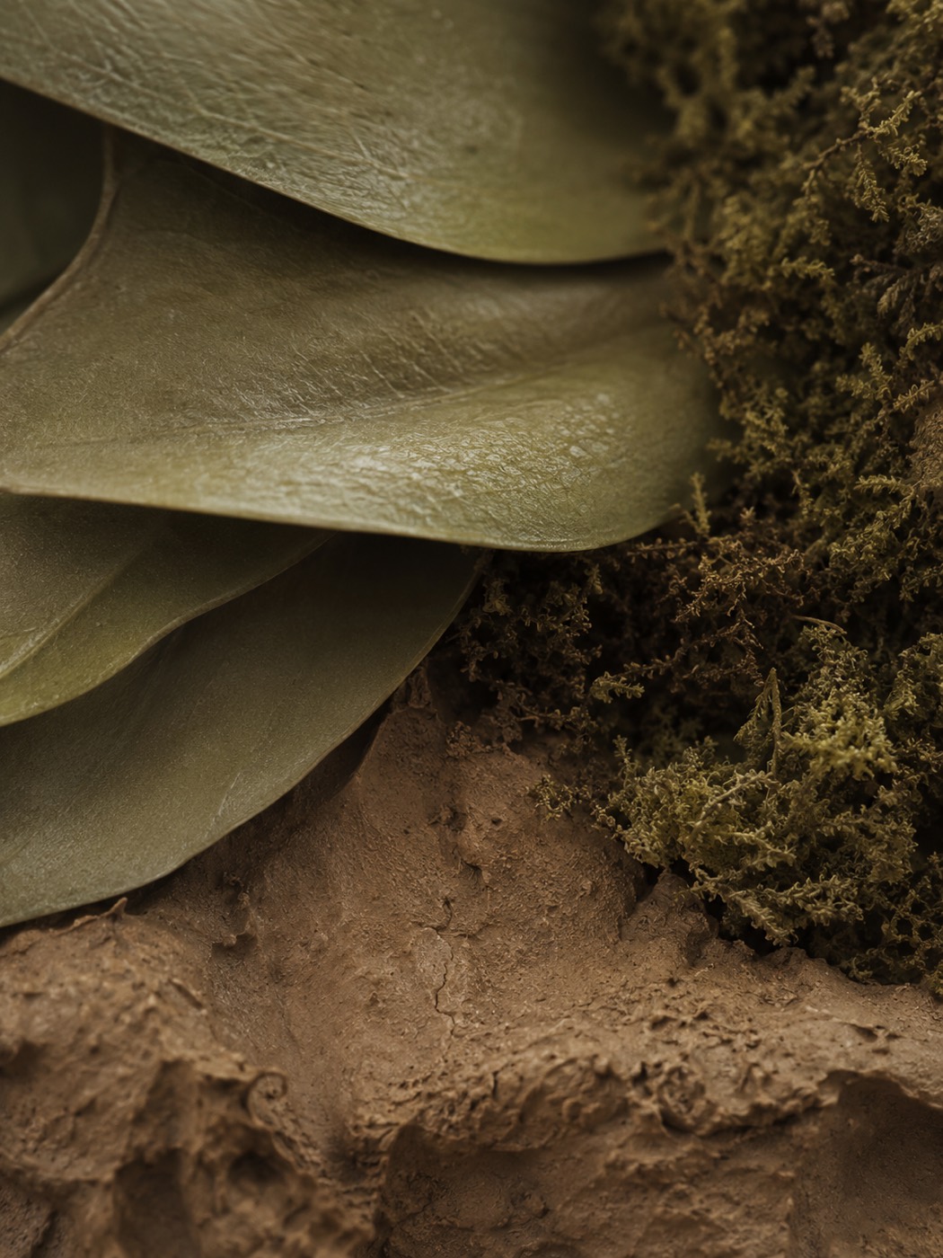 Earth — leaves, moss and clay.