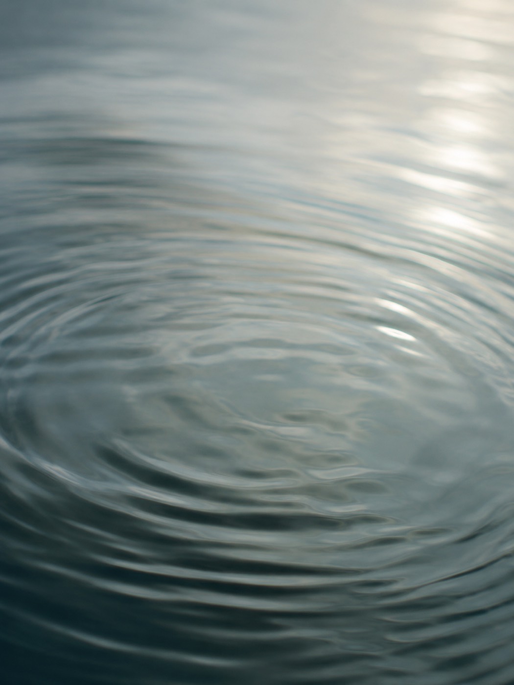 Water — gentle ripples on a calm surface.